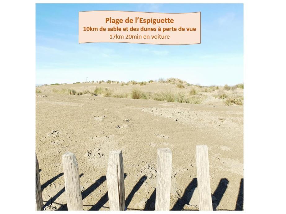 T2 Fidji Vue Port Et Mer Parking Clim Wifi - Rossiconciergerie - Linge En Option La Grande-Motte Exterior foto